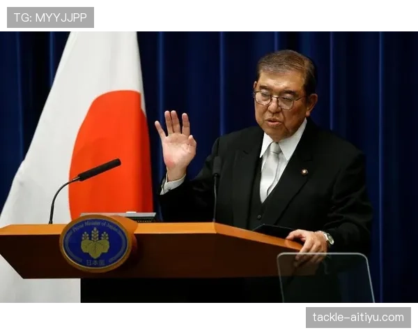 日本防线稳定性评估